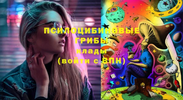 прущие грибы Балахна