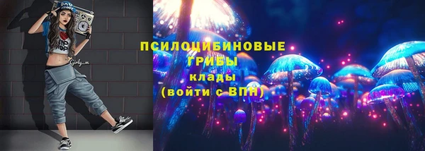 PSILOCYBIN Балабаново