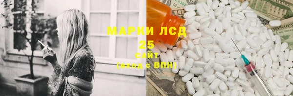 прущие грибы Балахна