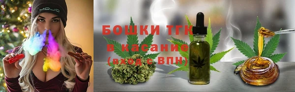 прущие грибы Балахна