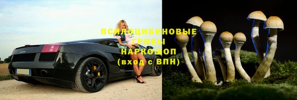 PSILOCYBIN Балабаново