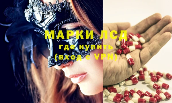 прущие грибы Балахна