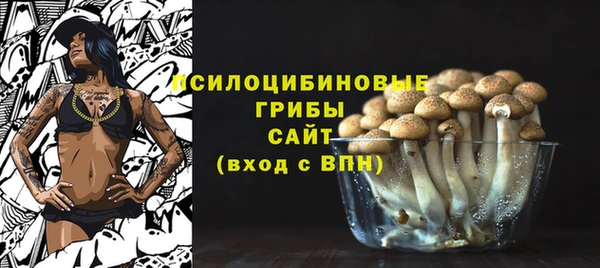 прущие грибы Балахна