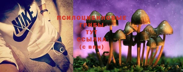 прущие грибы Балахна