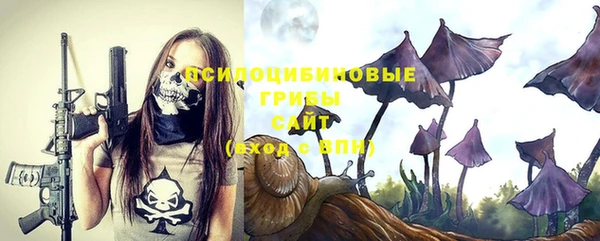 прущие грибы Балахна