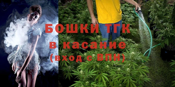 PSILOCYBIN Балабаново