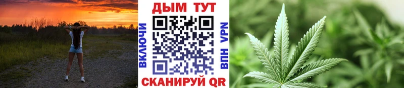 Шишки марихуана Bruce Banner Тосно
